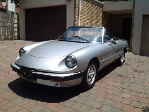 Alfa Romeo Spider Roadster - NOT TO BE MISSED