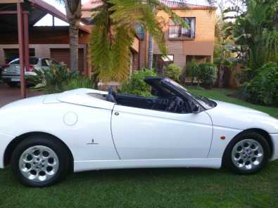 alfa spider 2lt