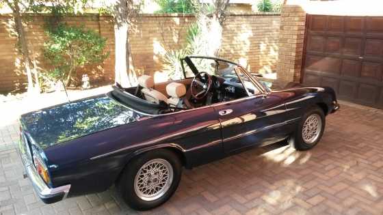 ALFA SPIDER