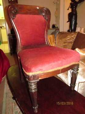 ANTIQUE Chair WILLIAM IV- XIX-early XX Century- ALL Authentic