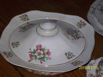 Antique dinner service