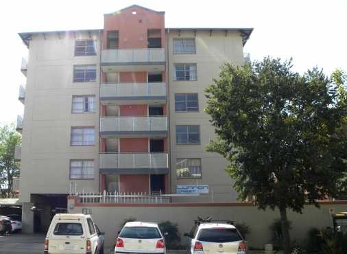 Bachelor Apartment walking distance from TUKS