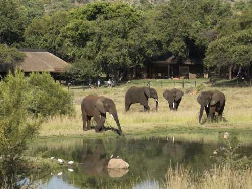 Bakubung Pilansberg National Park 30 May -  June Mid week Bargain Only R2900 for 6 persons