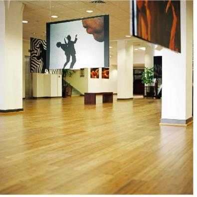 Bamboo Flooring 14mm