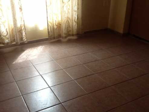 Bargain bachelor to let in ebony park