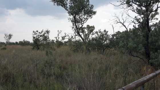 BARGAIN PLOT AT HAAKDOORNBOOM