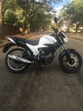 Bashan Gomoto 250 Beyond