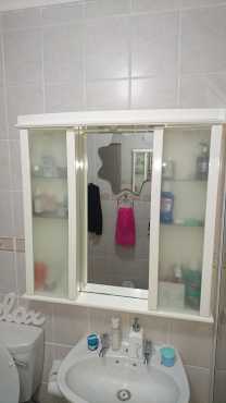 Bathroom Wall Vanity with mirror