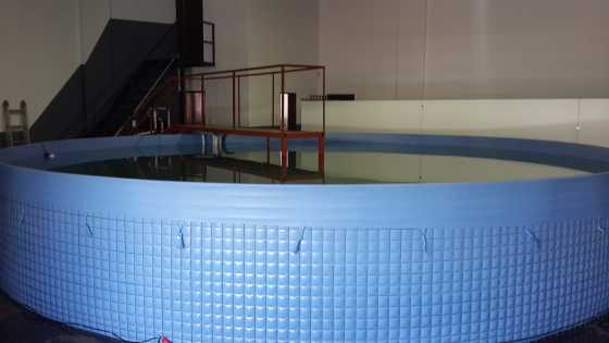 Beautiful big 7m round above ground swimming pool