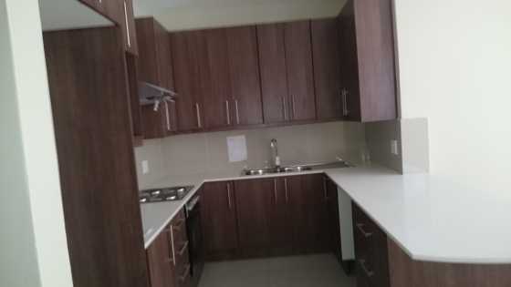 Beautiful brand new apartment to let