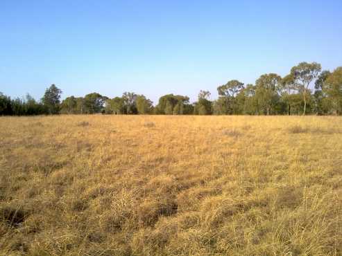 Beautiful Vacant Land in Tarlton