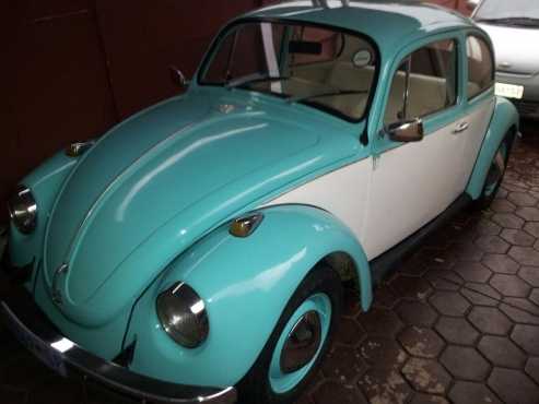 Beetle