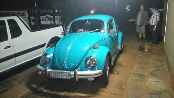 Beetle 73