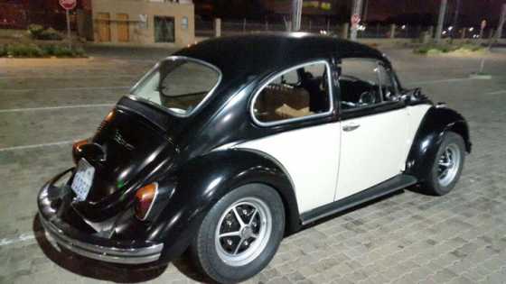 beetle for sale