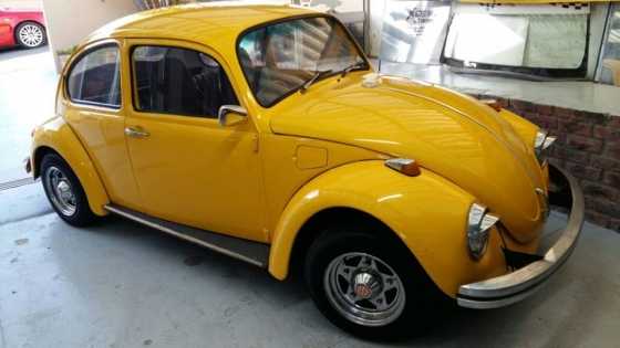 BEETLE For sale.
