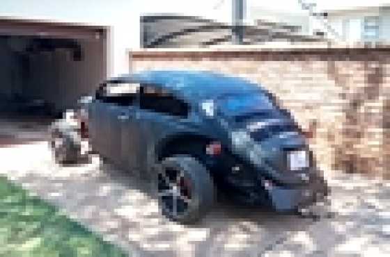 Beetle radrot for sale