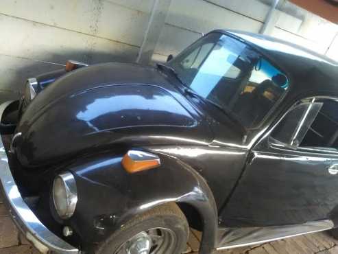 Beetle te koop