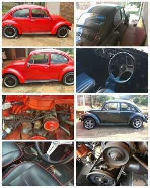 Beetles x2 for sale