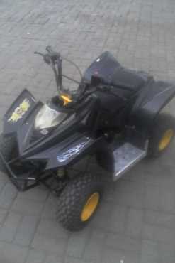 Big Boy Junior Quad Bike 110cc