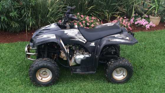 Big boy quad for sale -Jnr 110 F