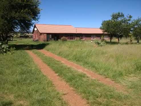 Big Farm In Gauteng