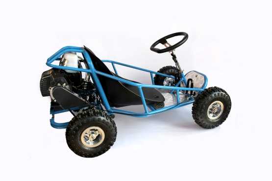 Big wheel 2 stroke petrol go karts on sale for kids - NEW