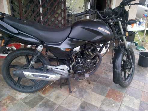 BigBoy DRN250