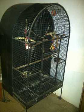 Birdcage for sale