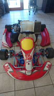 BIREL GO KART 125CC 2 STROKE 2 SPEED