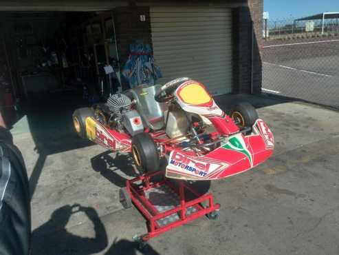 Birel Mini Rok Go Kart