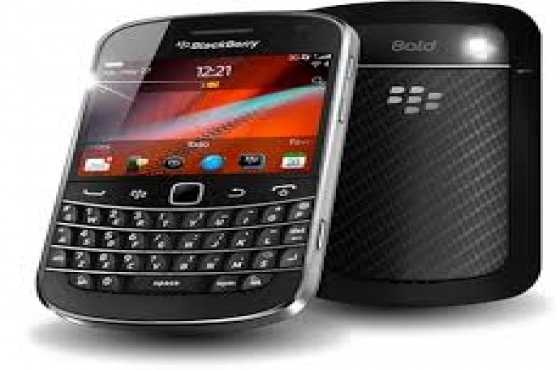 Black Black Berry Bold