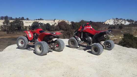 Bombardier DS650 Honda TRX300