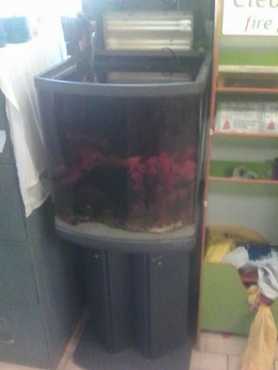 Boyu aquarium TL-550A for sale