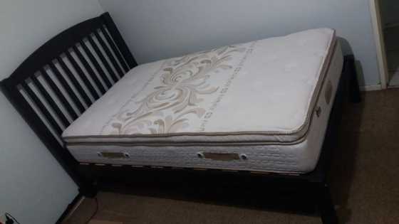 Brand new 34 Sealy matress and sleigh bed