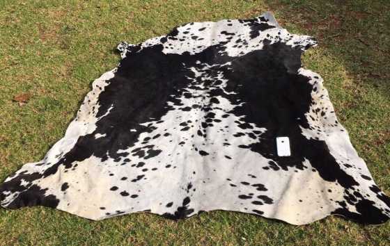 Brand New Cow Hide