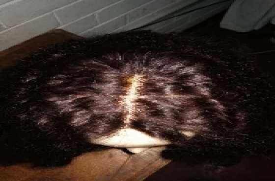 Brazilian curly wig