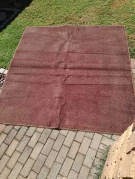 Brown carpet for sale