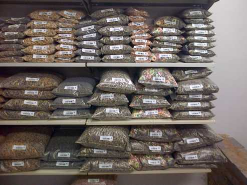 Bulk Seeds and Feeds, Clearance