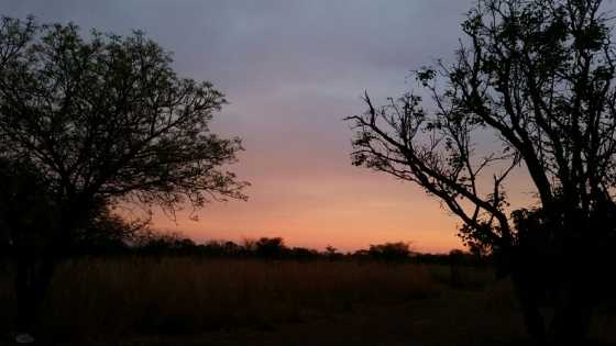 Bushveld Farm