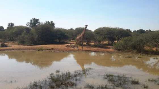 Bushveld Game Farm with River Frontage