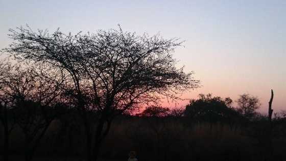 BUSHVELD WONDER - EASTER WEEKEND 2017 SPECIAL MAKHATO 46 WITHIN SONDELA NATURE