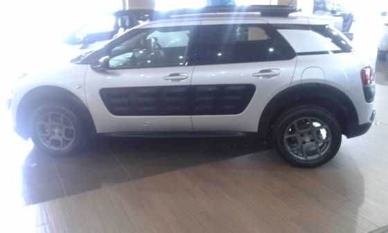 C4 CACTUS SHINE