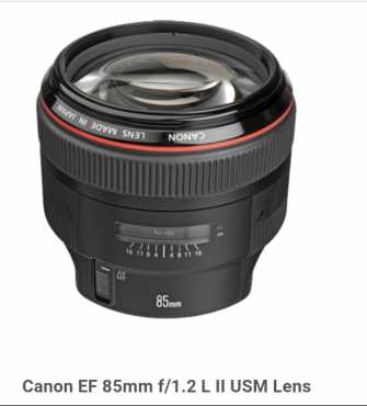 Canon 85mm, 1.2 L Lens