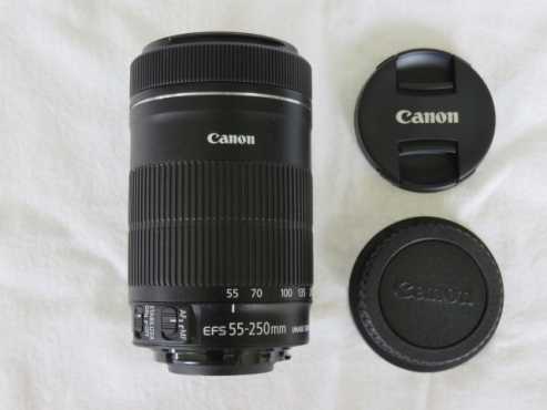 Canon EF-S 55-250mm f4-5.6 IS STM Lens