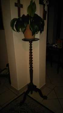 Cape stinhout vase stand