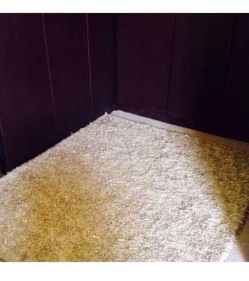 Carpet