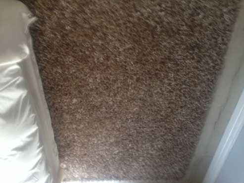 Carpet