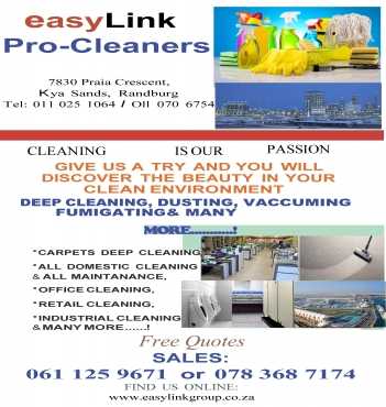 Carpets Couches Mattresses and House or Office Spring Cleaning