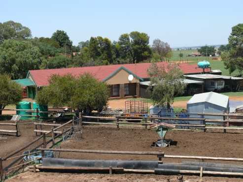 Chicken and Dairy farm for Sale Heidelberg Gauteng