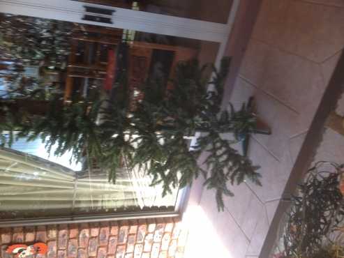 Christmas tree (1.85 metres tall) - artificial - for sale